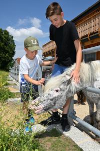 Děti v ubytování Familien- und Apartmenthotel Lerchenberghof