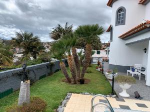 Gallery image of Beautiful 1-Bed Apartment in Funchal Madeira in Funchal