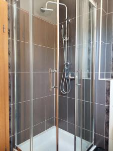 a shower with a glass door in a bathroom at Apartments Dia in Zaostrog