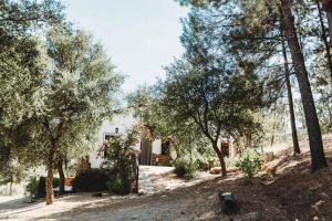 Ogród w obiekcie Casa Rural El Zumacal