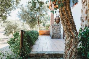 Ogród w obiekcie Casa Rural El Zumacal