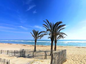 2 palmiers sur une plage de sable près de l'océan dans l'établissement Les Marines III - Tout Confort - Tout équipé - En bord de mer - Avec Jardin - Proche commerces et animations, au Barcarès