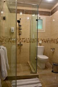 Seti Sharm Palm Beach Resort Families and couples only tesisinde bir banyo