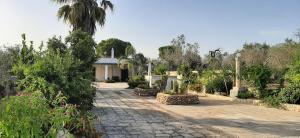 een tuin met een palmboom en een huis bij Villetta Salento Lu Trolitu in Specchia