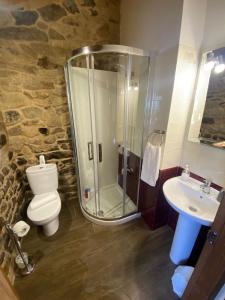 a bathroom with a shower and a toilet and a sink at La Pallota de San Cristobal in Palas de Rei