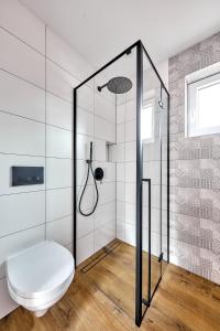 La salle de bains est pourvue d'une douche et de toilettes. dans l'établissement Apartamenty Białe Brzozy, à Florczaki