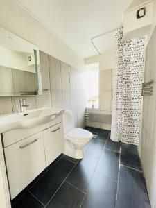 La salle de bains est pourvue de toilettes, d'un lavabo et d'une douche. dans l'établissement aday - Central Studio Apartment, à Aalborg