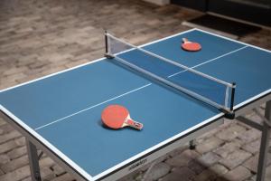 Stolní tenis v ubytování Gulfhof Dreybült Dreybült 7 Friso nebo okolí