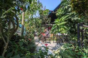 Сад в HOTEL FORESTWAY Hostel & Backpackers