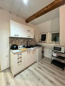 Kuchyňa alebo kuchynka v ubytovaní Sudecki apartament
