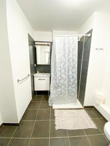 uma casa de banho com um chuveiro e um lavatório. em City Résidence Nice em Nice