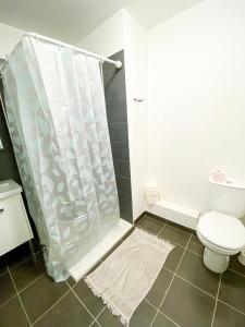 a bathroom with a shower curtain and a toilet at City Résidence Nice in Nice +8 photos