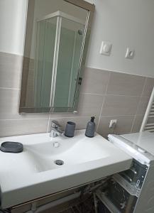 ein Badezimmer mit einem weißen Waschbecken und einem Spiegel in der Unterkunft La Marina 2 in Étaples