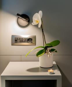 een witte bloem in een witte pot op een tafel bij Hotel Shangri-La in Ala