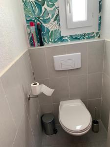 a bathroom with a toilet and a toilet paper dispenser at Maisonnette à Brantôme en Périgord in Puyjoubert