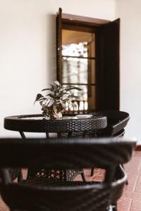 a black table with a plant on top of it at El Nido Hostel in San Rafael