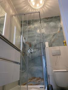 a shower with a glass door in a bathroom at Prinzessin Agnes in Międzyzdroje