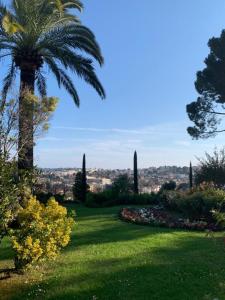 a palm tree in a park with a green lawn at Studio with a panoramic view at the last floor of the residence with a pool in Antibes
