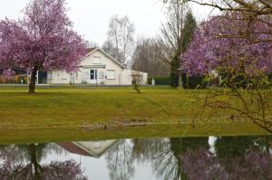 ein Haus mit lila Bäumen vor einem Wasserkörper in der Unterkunft Chambre KOTA Insolite in Attigny