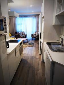 Kuchyň nebo kuchyňský kout v ubytování Regency Apartment + 12 fotografií