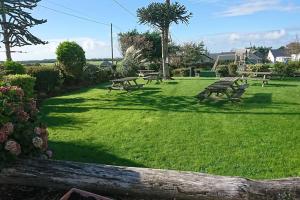 un grupo de mesas de picnic en un parque en Cadwgan Caravan, en Dyffryn