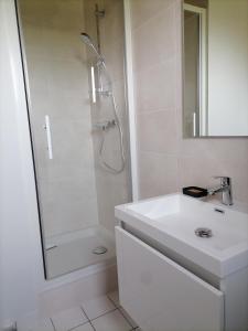 baño blanco con ducha y lavamanos en Giropode, maisonnette 36m2, 1/5 pers, cour fermée., en Chasseneuil-du-Poitou