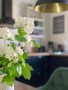 un vaso pieno di fiori bianchi in una stanza di Apartmenthaus Seiler a Quedlinburg