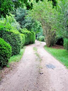 un chemin de terre avec des buissons des deux côtés dans l'établissement Hilton Garden Studio, à Hilton