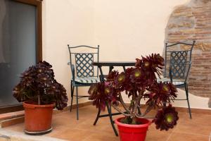 Fotografie z fotogalerie ubytování Casa Verònica v destinaci Pego