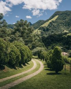 a winding road through a forest of trees at Projeto MAARA in Nova Friburgo