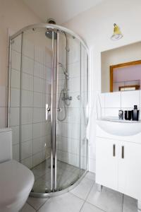 a bathroom with a shower and a sink and a toilet at Apartamenty KDN in Bielsko-Biała +36 photos
