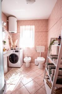 a bathroom with a toilet and a washing machine at Pine & Oak Holiday Home in Fužine