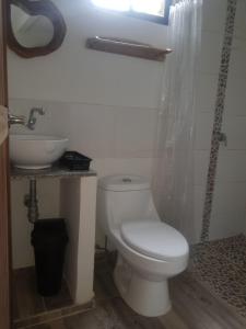 a bathroom with a white toilet and a sink at ALOJAMIENTO EL REGALO in Salento