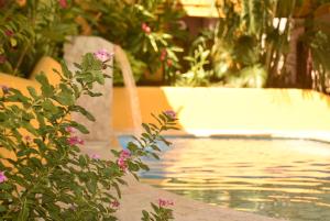 Πισίνα στο ή κοντά στο Encomendero Hotel -Centro Histórico-