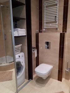 Kúpeľňa v ubytovaní Apartament Galeria Warmińska + 10 fotografií