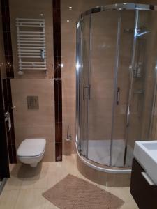 Kúpeľňa v ubytovaní Apartament Galeria Warmińska