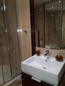 Kúpeľňa v ubytovaní Apartament Galeria Warmińska