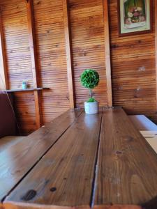 a wooden table with a potted plant on top of it at Luna treehouse in Preveza