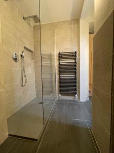 baño con ducha y puerta de cristal en Antiche Colonne, en Verona