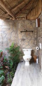 a bathroom with a toilet in a stone wall at San Simian Lodge in La Laguna