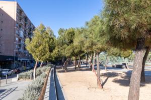 a row of trees in a park next to a building at Madrid Rio in Madrid