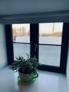 Fotografie z fotogalerie ubytování Atlantic Bay Cottage v destinaci Culdaff