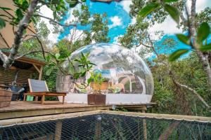 Ein Garten an der Unterkunft BubbleSky Glamping Guatapé