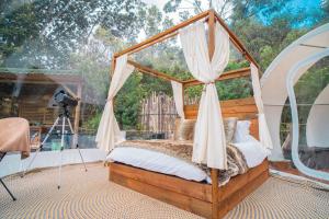 Ein Garten an der Unterkunft BubbleSky Glamping Guatapé