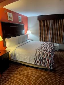a bedroom with a large bed and a red wall at Red Roof Inn & Suites Detroit - Melvindale/Dearborn in Melvindale
