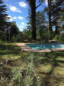 a swimming pool with purple flowers in the yard at El bosque serrano in Sierra de los Padres