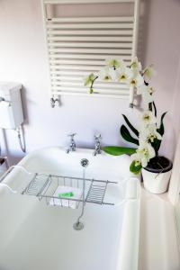 a bathroom sink with a plant on the counter at Newgate House in Barnard Castle