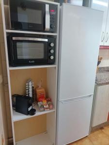a microwave and a refrigerator in a kitchen at Apartamentos San Antón 2 in Córdoba