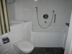 a white bathroom with a toilet and a shower at Sonnenkaiser in Fischbachau