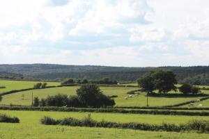 Paesaggio naturale nelle vicinanze del bed & breakfast